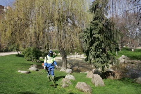 El Ayuntamiento de Madrid adjudica a SANJOSE por dos a�os y 28,74 millones de euros el servicio de conservaci�n y mantenimiento de zonas verdes y arbolado viario del Lote 2 de la capital, el m�s importante del pa�s por presupuesto y superficie