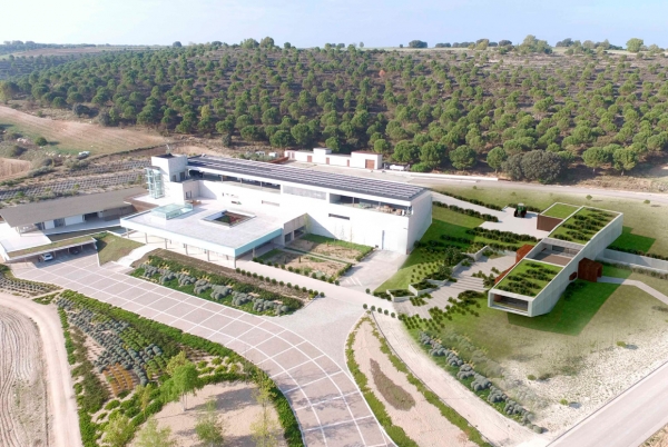 SANJOSE ampliará AALTO Bodegas en Quintanilla de Onésimo, Valladolid