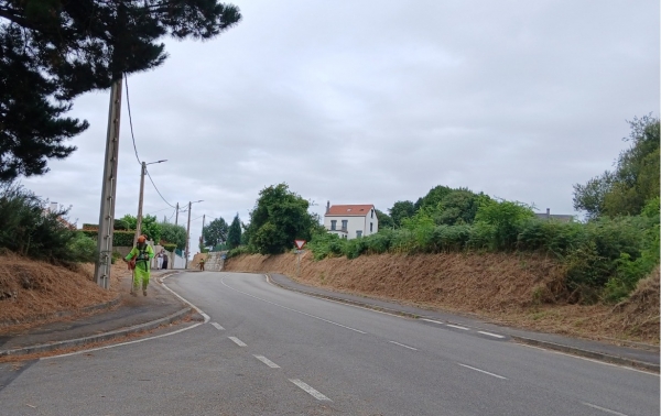 SANJOSE realizar� la campa�a de desbroce 2025 en las carreteras de titularidad de la Diputaci�n Provincial de A Coru�a - Zona C